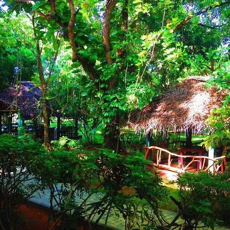 Pelwehera Village Resort Дамбулла Экстерьер фото