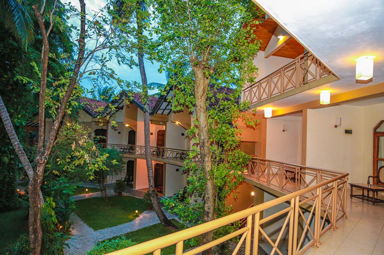 Pelwehera Village Resort Дамбулла Экстерьер фото
