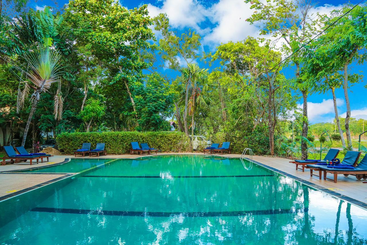 Pelwehera Village Resort Дамбулла Экстерьер фото