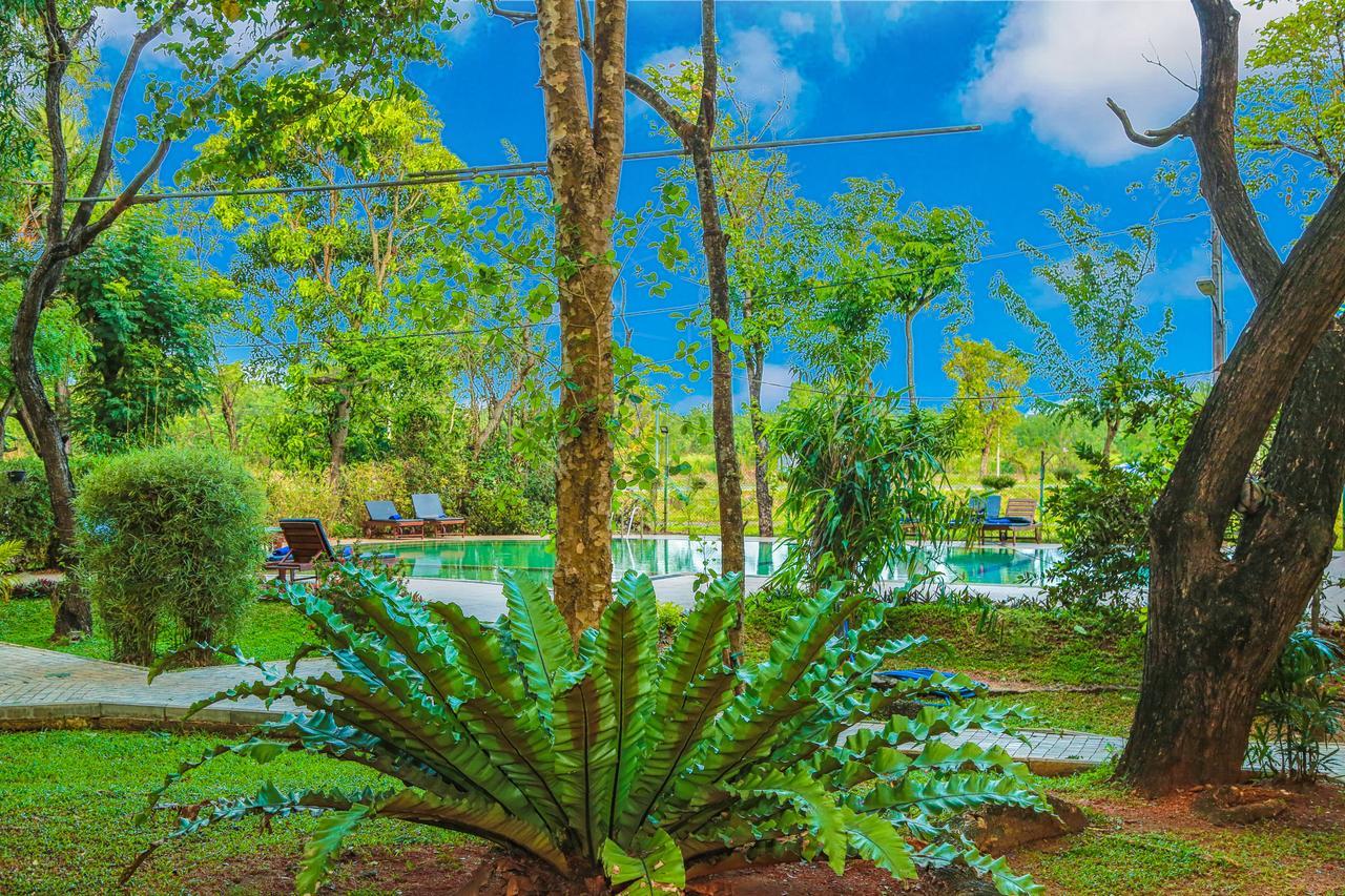 Pelwehera Village Resort Дамбулла Экстерьер фото