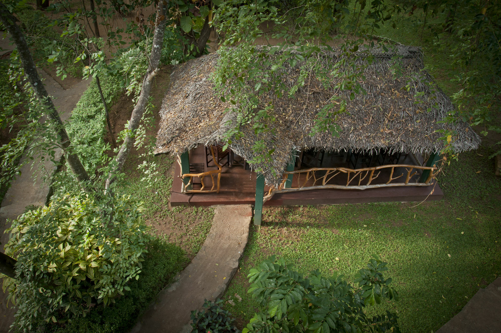 Pelwehera Village Resort Дамбулла Экстерьер фото