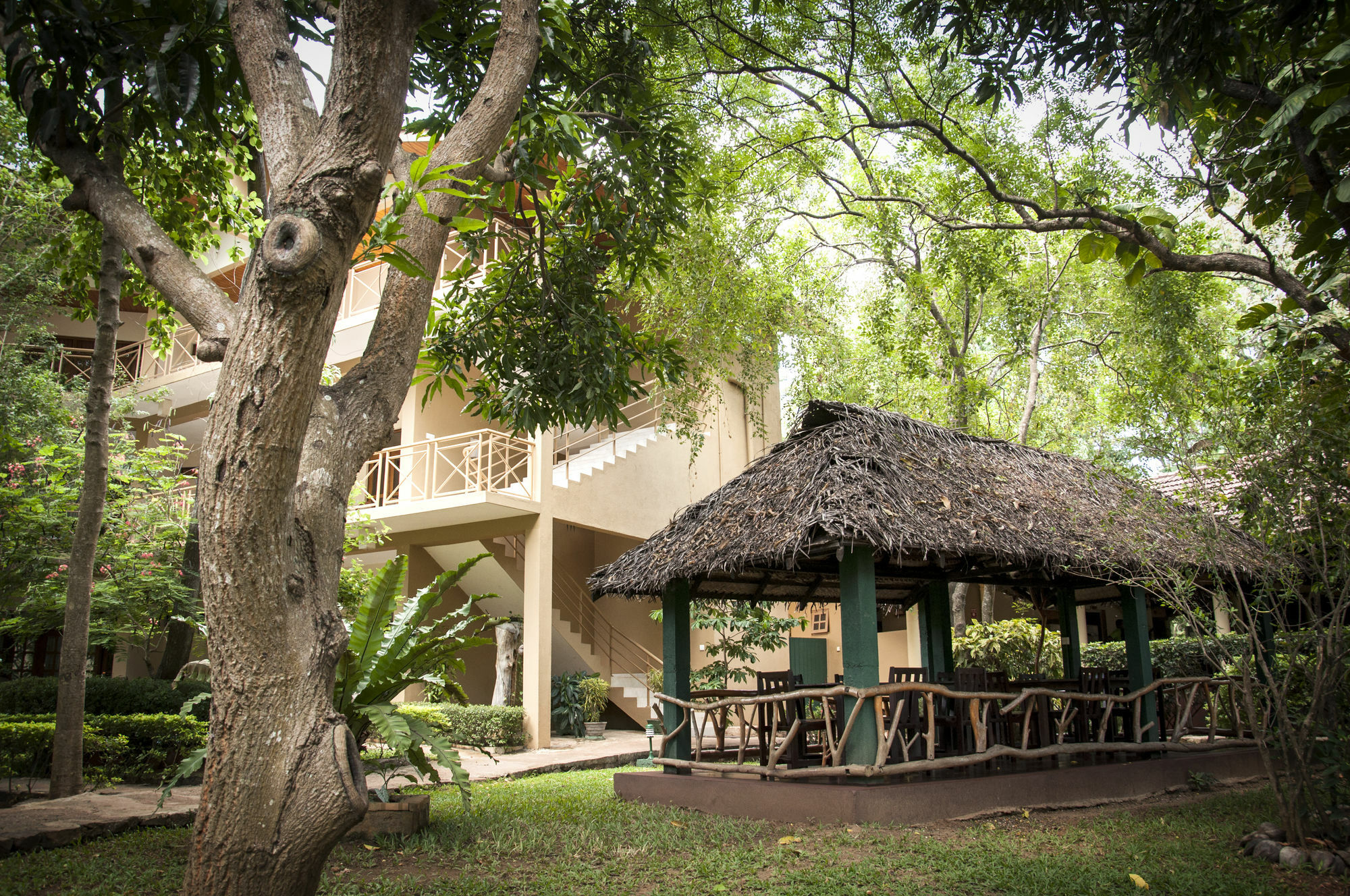 Pelwehera Village Resort Дамбулла Экстерьер фото