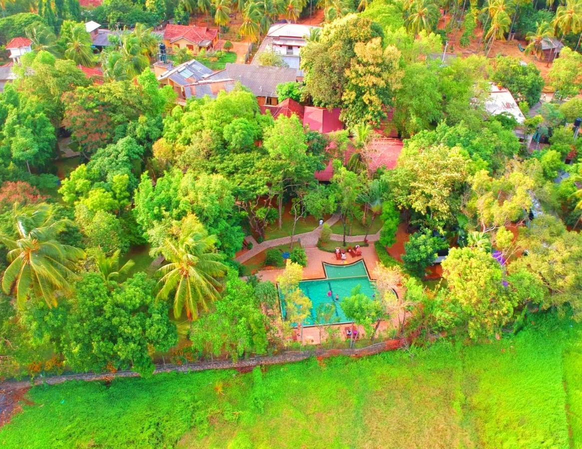 Pelwehera Village Resort Дамбулла Экстерьер фото