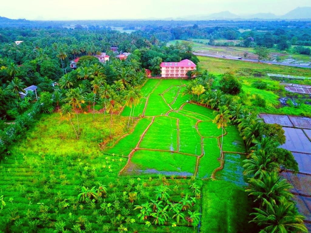 Pelwehera Village Resort Дамбулла Экстерьер фото